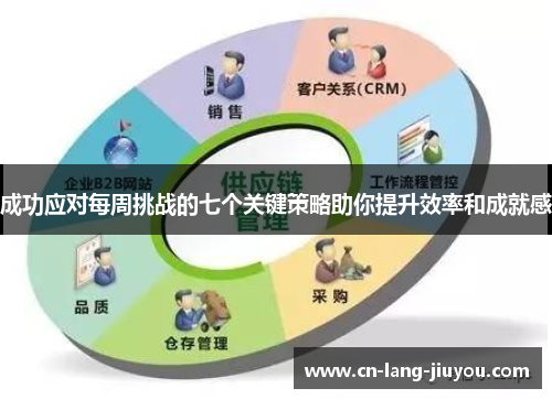 成功应对每周挑战的七个关键策略助你提升效率和成就感